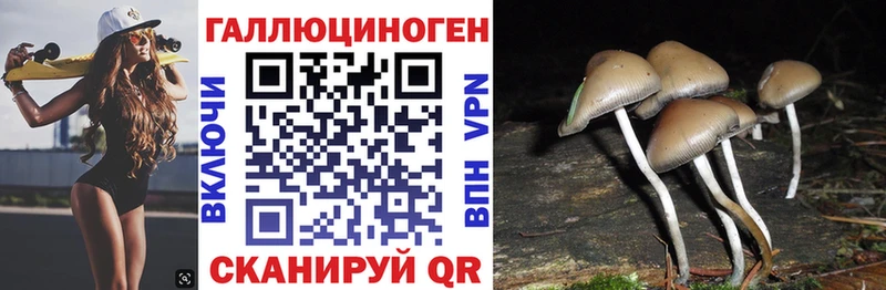 Галлюциногенные грибы ЛСД  нарко площадка клад  Рузаевка 
